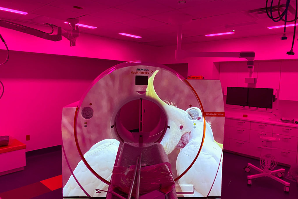 CT Projection Video Ambient Lighting